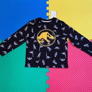 Boy clothes Jurassic world dinosaur shirt size 5